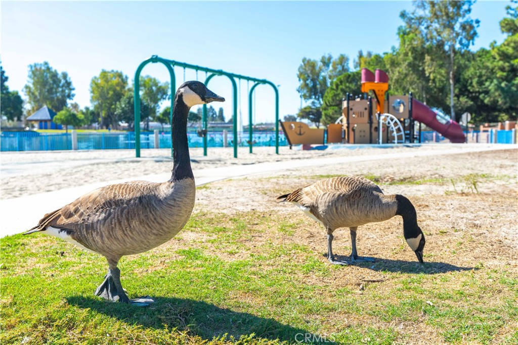 3318 W Borchard Property Photo 47