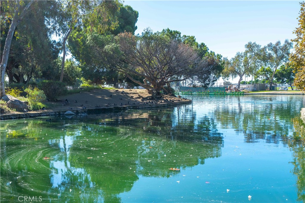 3318 W Borchard Property Photo 50