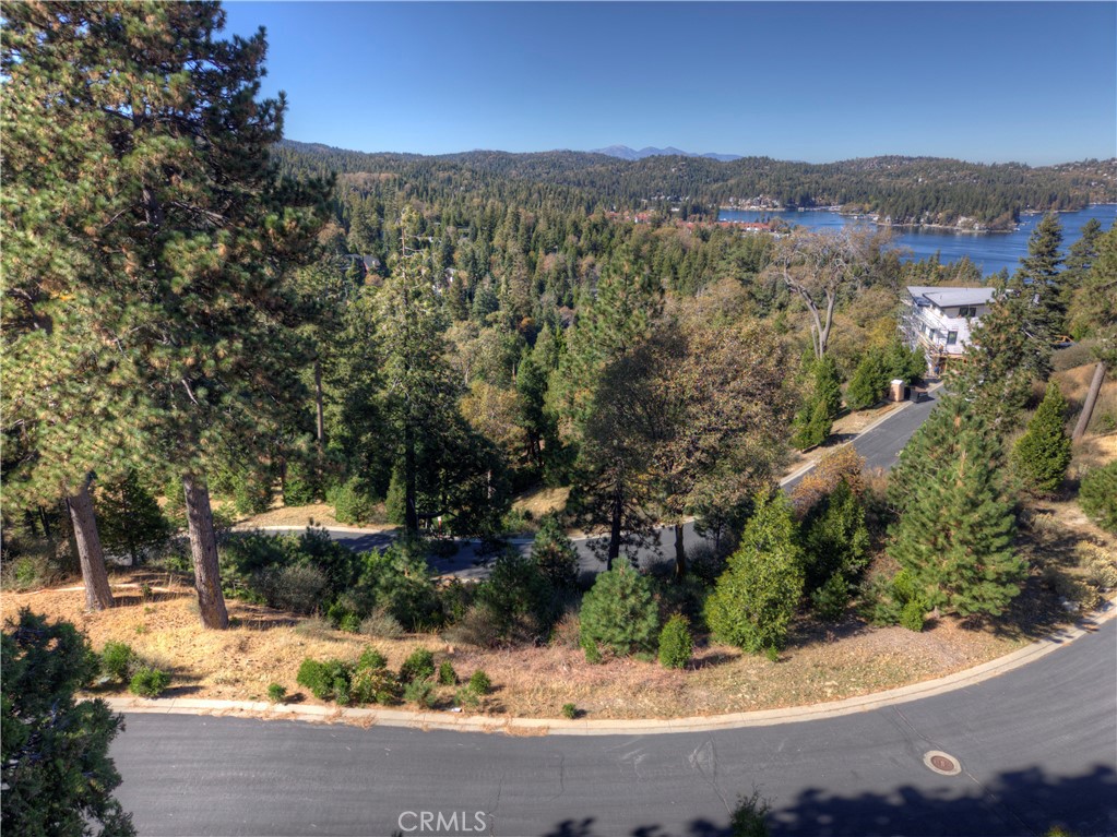 115 Mill Pond Property Photo 3