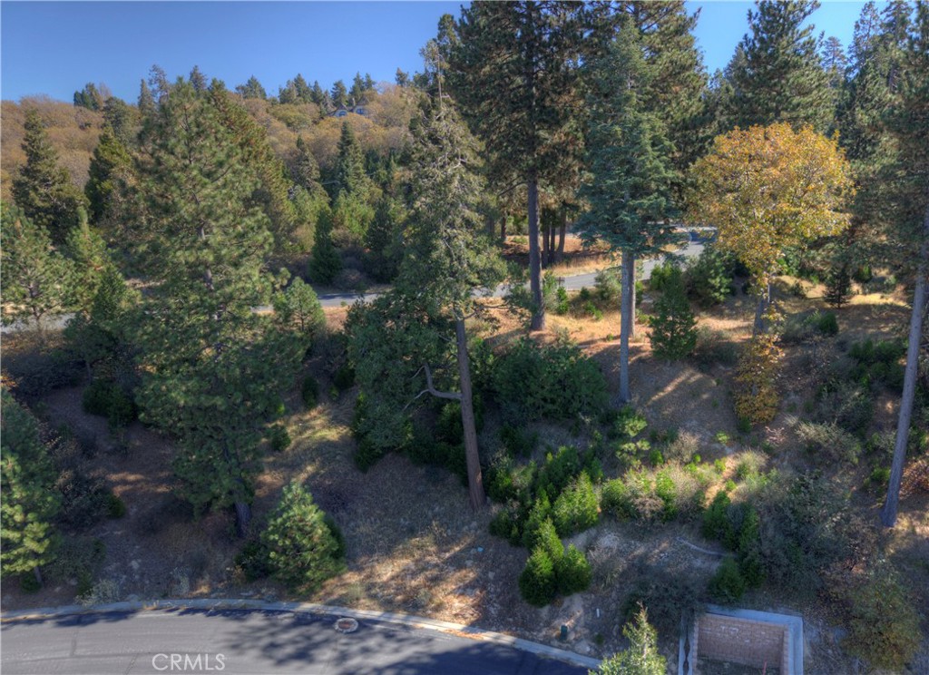 115 Mill Pond Property Photo 10