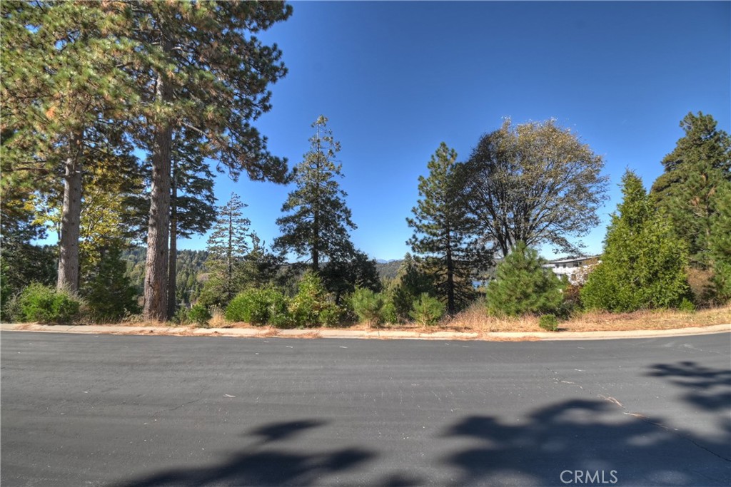 115 Mill Pond Property Photo 11