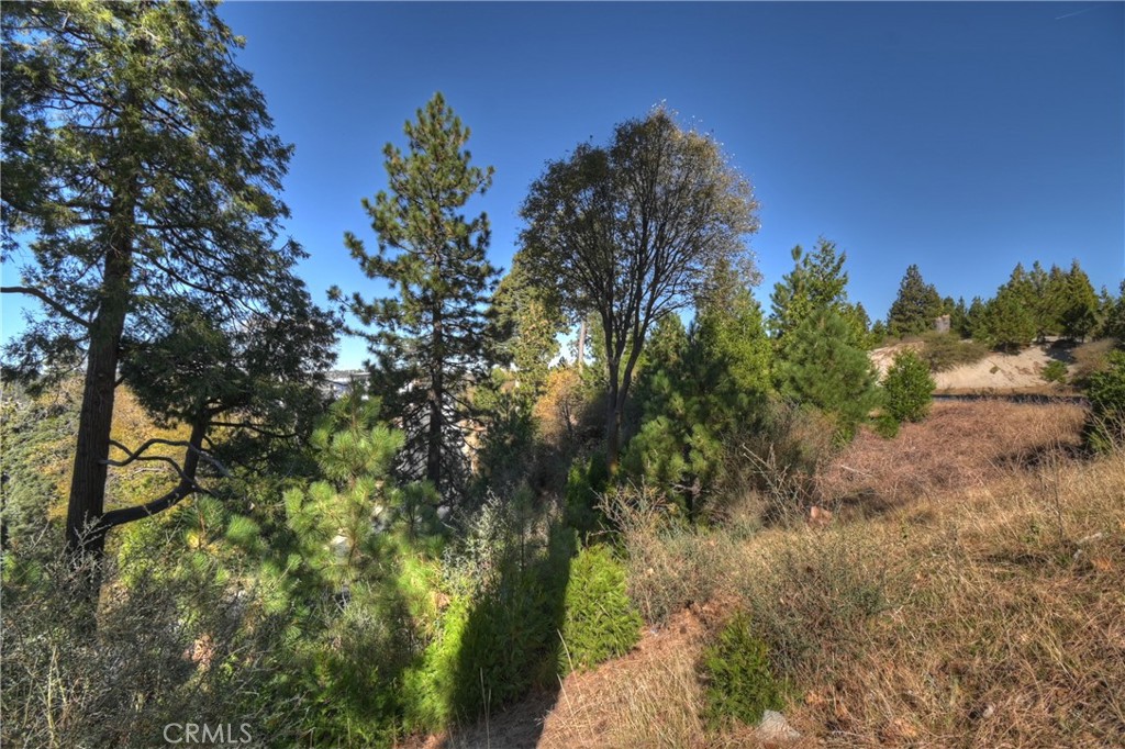 115 Mill Pond Property Photo 14
