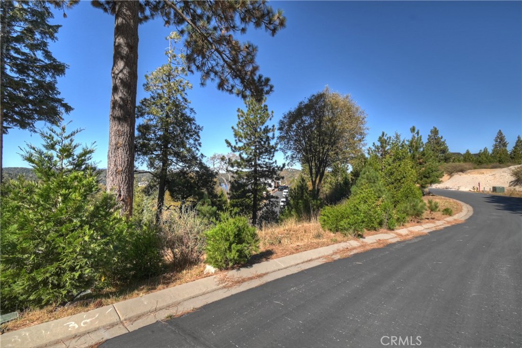 115 Mill Pond Property Photo 18
