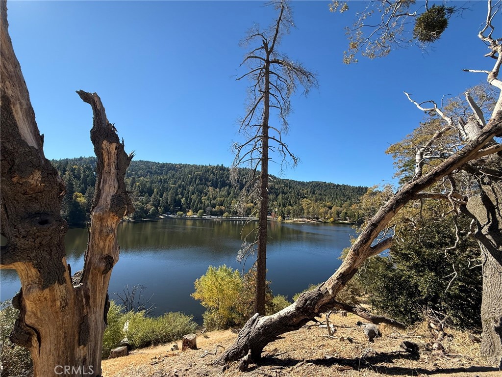 23489 Lake Property Photo 18
