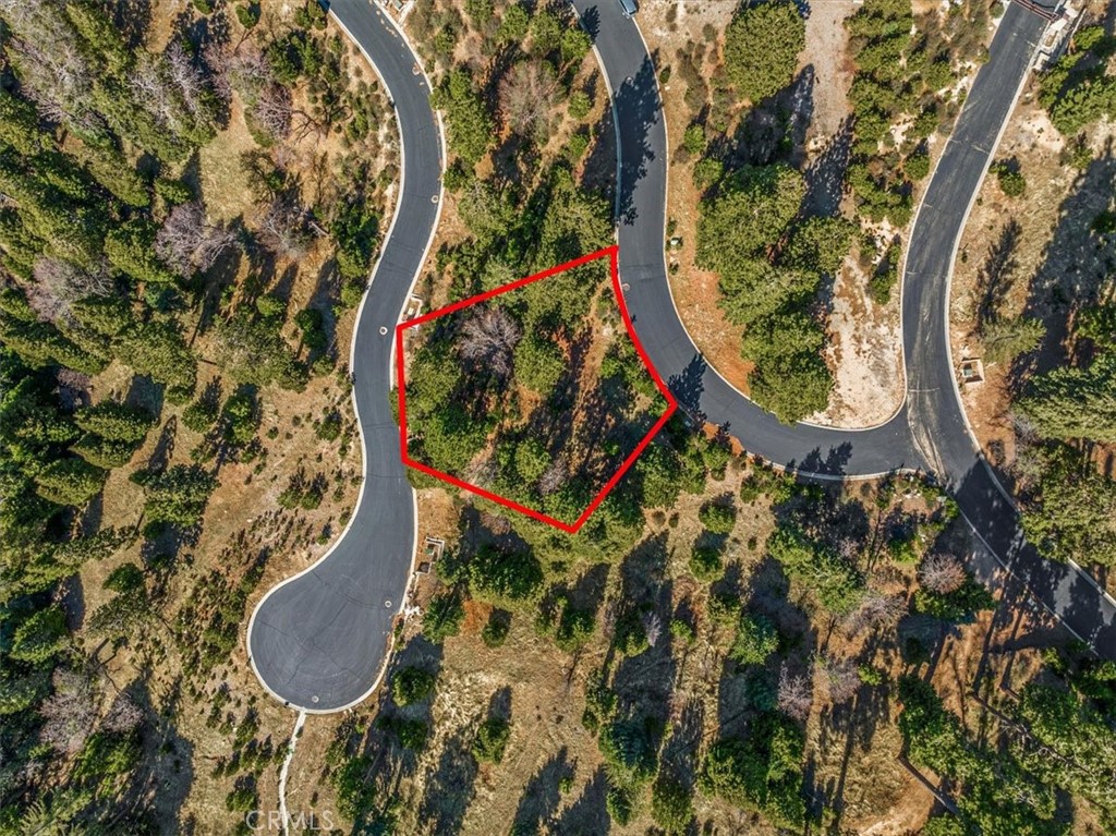 109 Mill Pond Property Photo 4