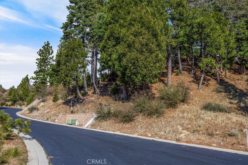 109 Mill Pond Property Photo 38
