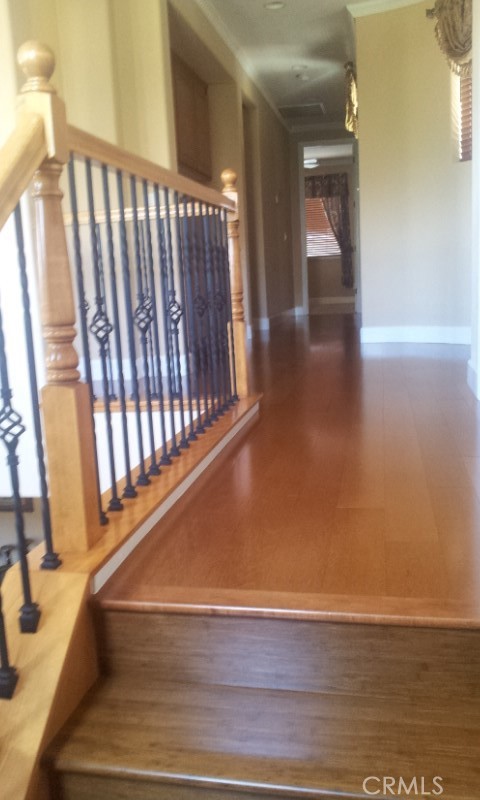 1500 Rio Verde Circle Property Photo 11
