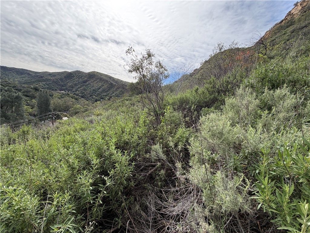0 Ladd Canyon Property Photo 3