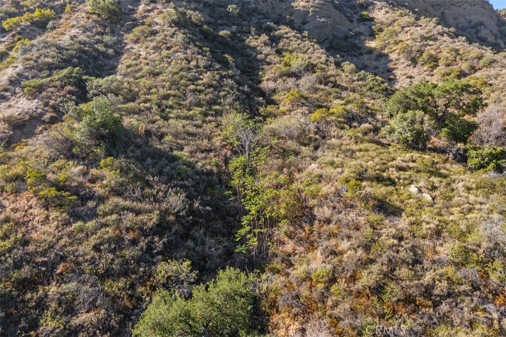 0 Ladd Canyon Property Photo 6
