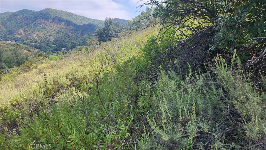 0 Ladd Canyon Property Photo 8