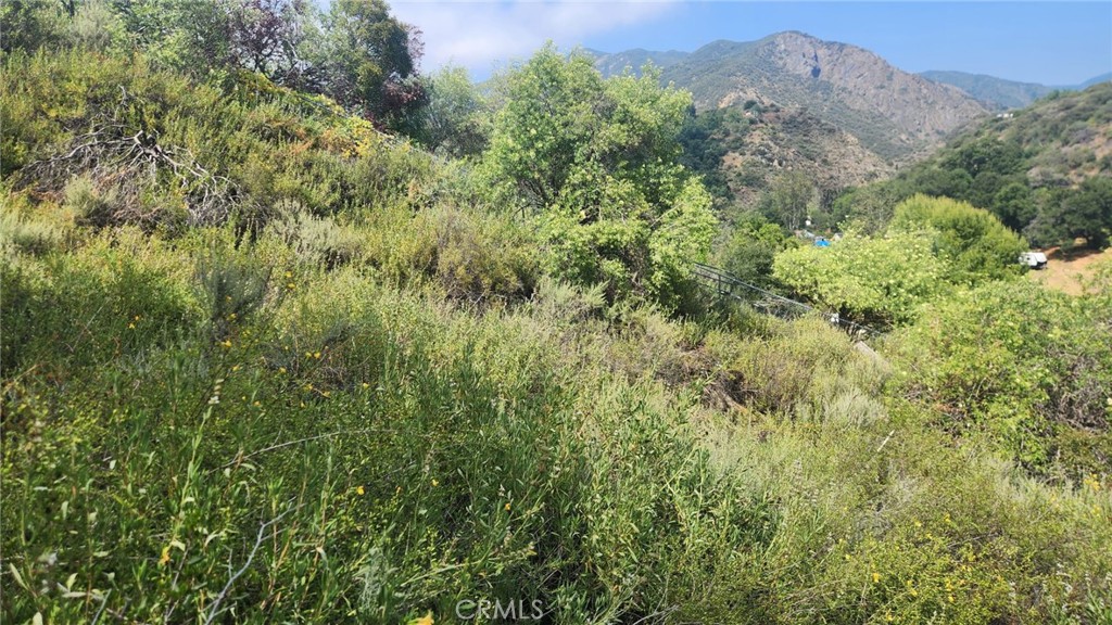 0 Ladd Canyon Property Photo 9