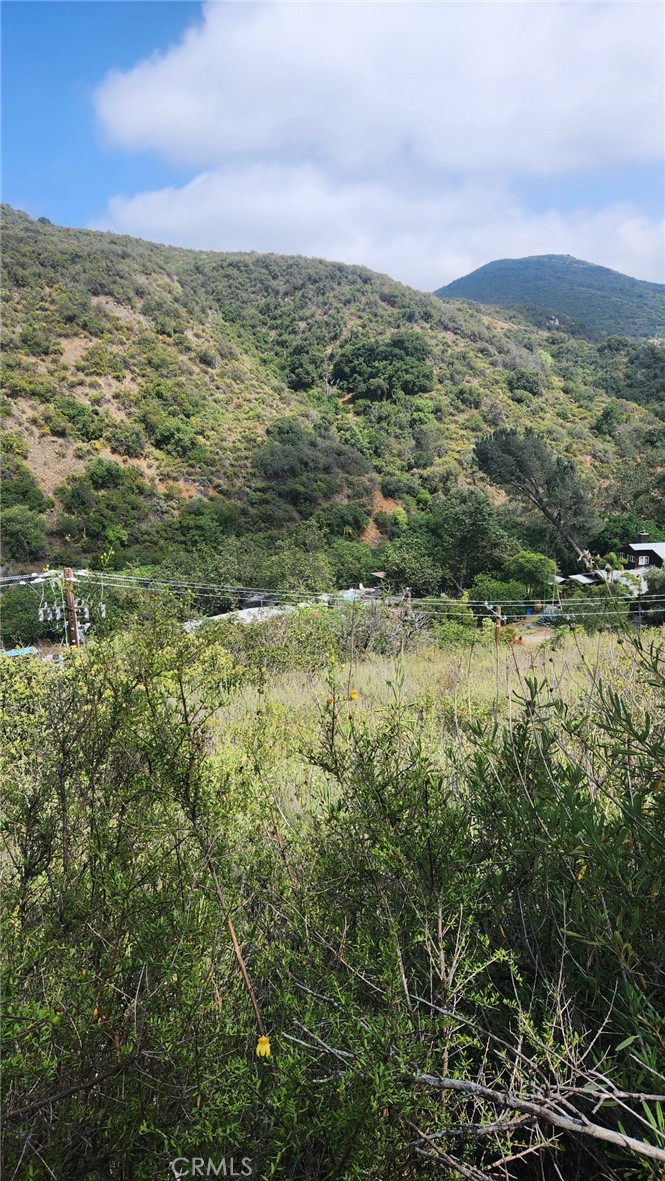 0 Ladd Canyon Property Photo 10