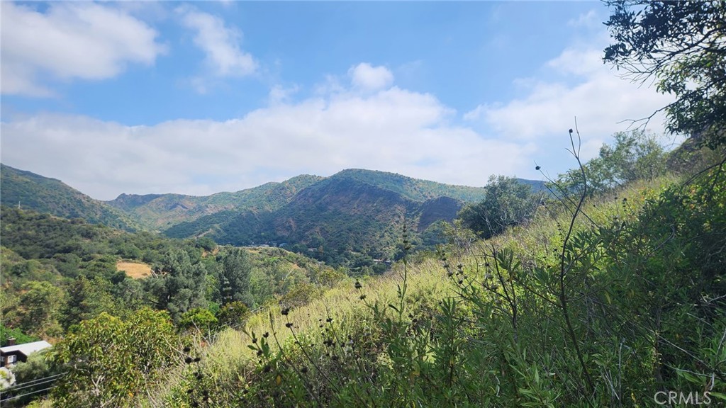 0 Ladd Canyon Property Photo 11