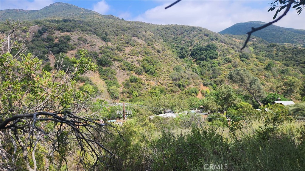 0 Ladd Canyon Property Photo 12