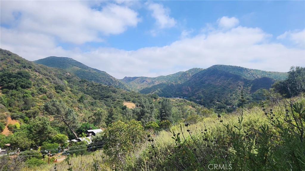 0 Ladd Canyon Property Photo 13