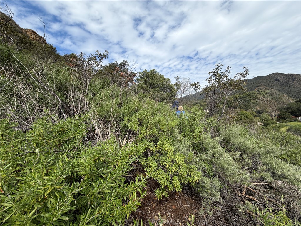 0 Ladd Canyon Property Photo 14