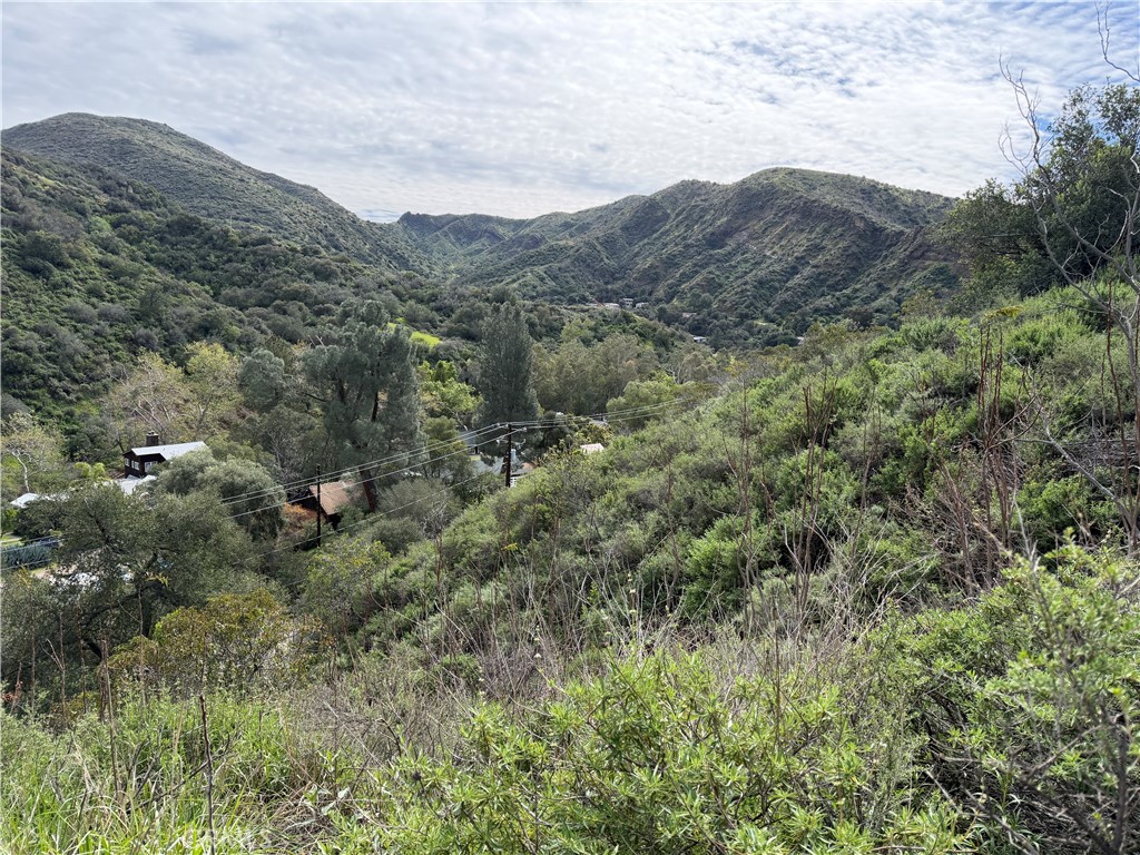 0 Ladd Canyon Property Photo 15