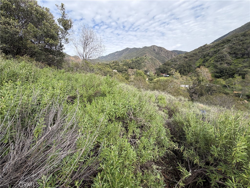 0 Ladd Canyon Property Photo 16