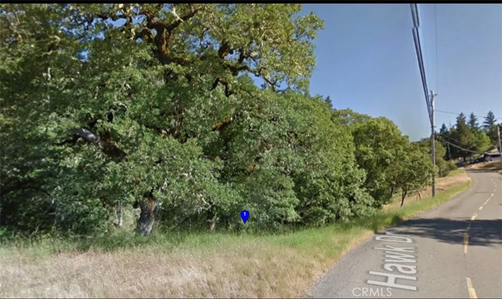 25932 Hawk Property Photo 5