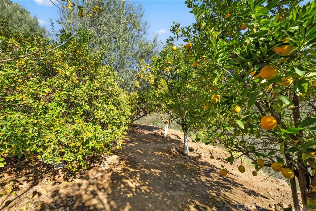 44930 Via Renaissance Property Photo 47