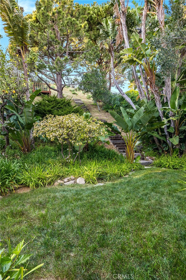 24743 Vantage Point Terrace Property Photo 39