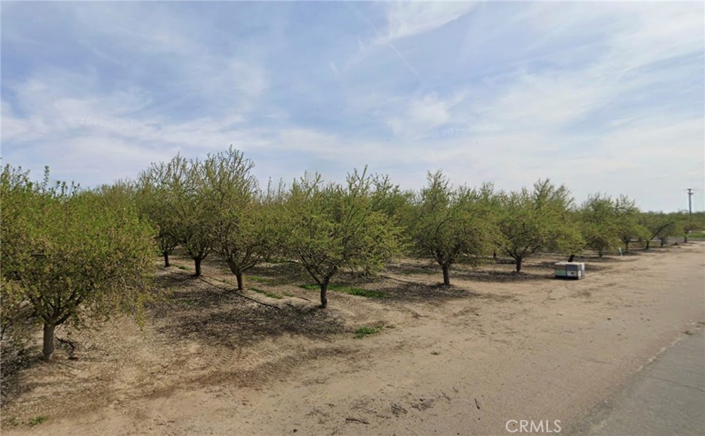 27726 N Palm St Property Photo 1
