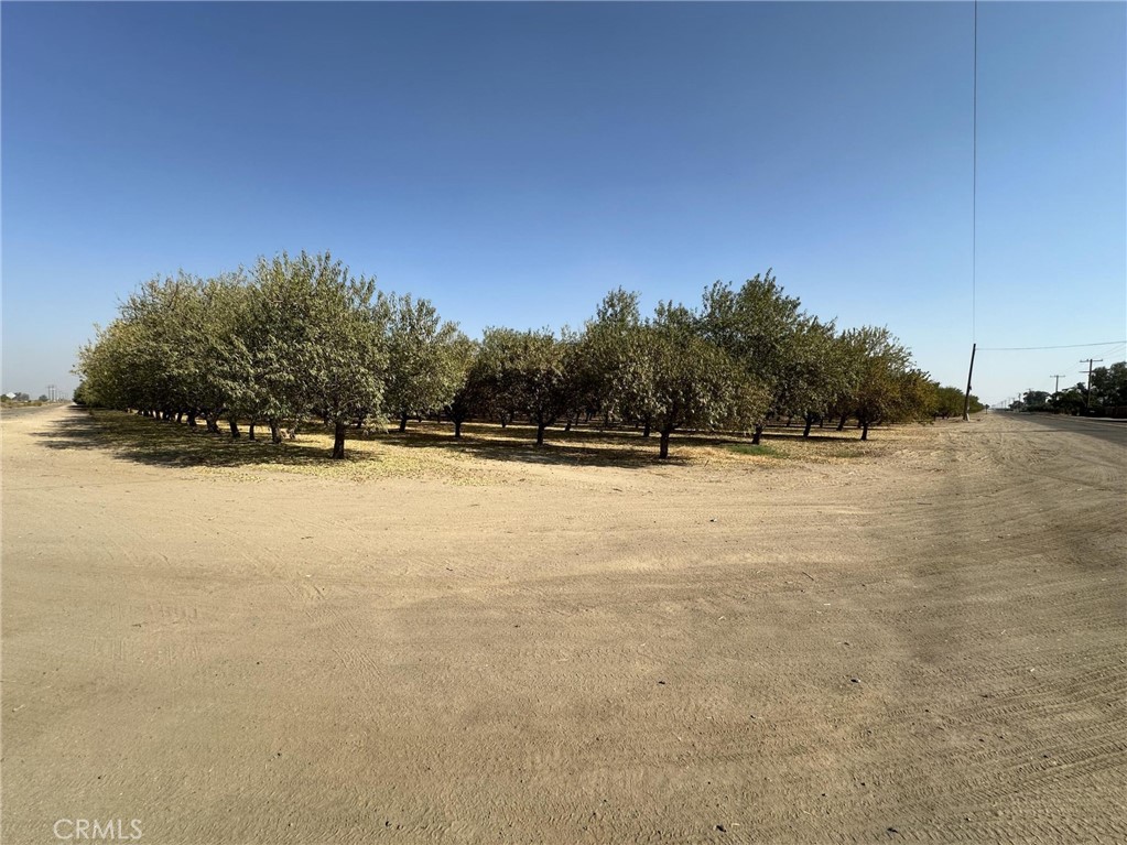 27726 N Palm St Property Photo 6