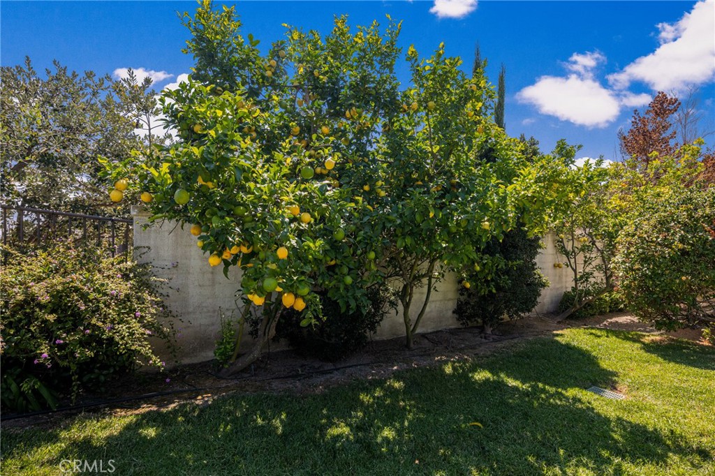 18 Calle De La Luna Property Photo 49