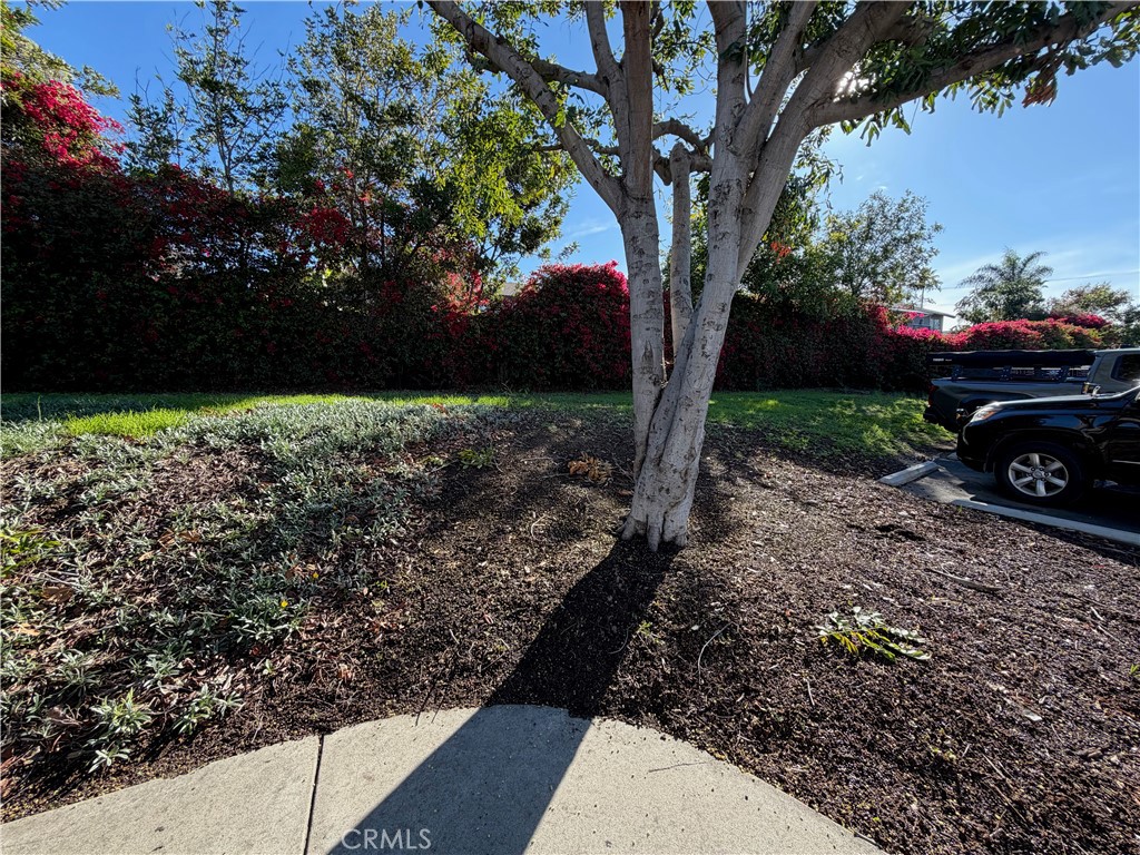 0 Monique Court Property Photo 5