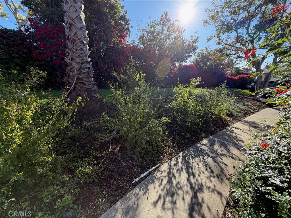 0 Monique Court Property Photo 6