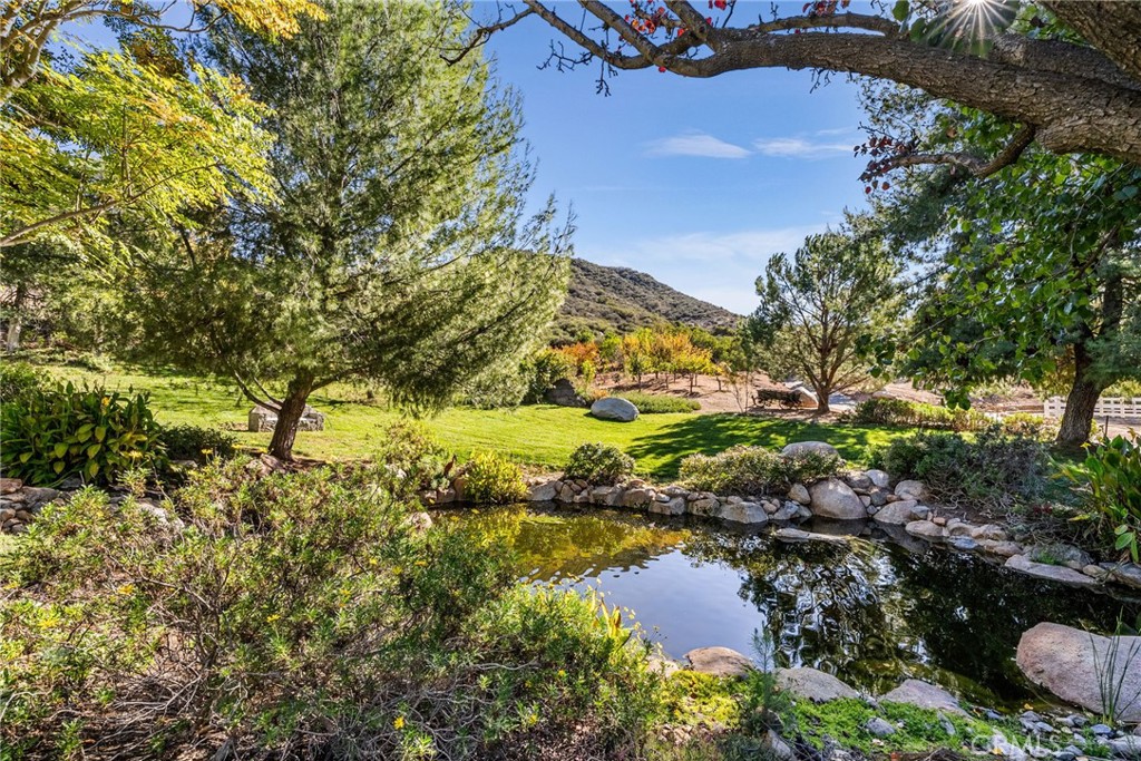37730 Via Baya Property Photo 61