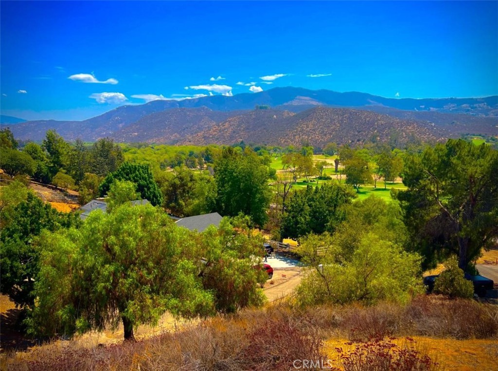 2846 Willow Glen Drive Property Photo 10