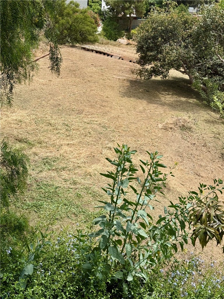2106 Roselin Property Photo 3