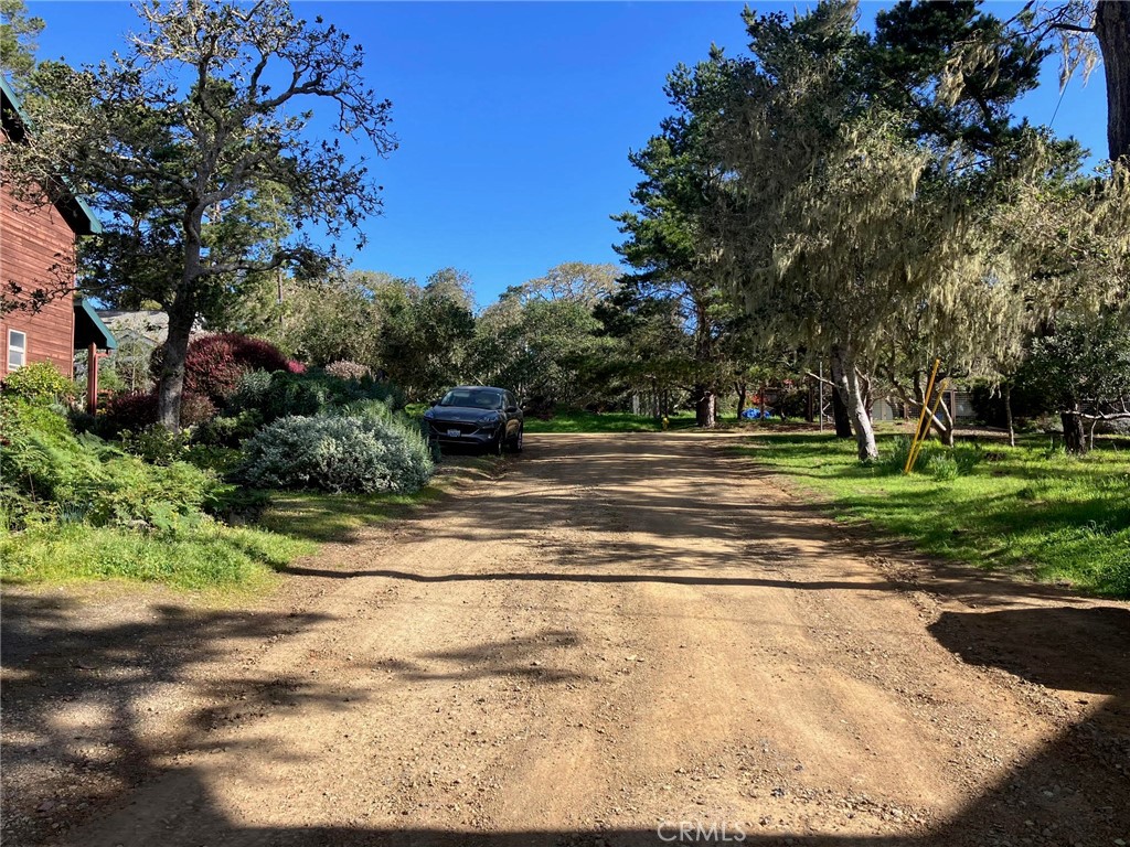 0 Cowper Street Property Photo 1