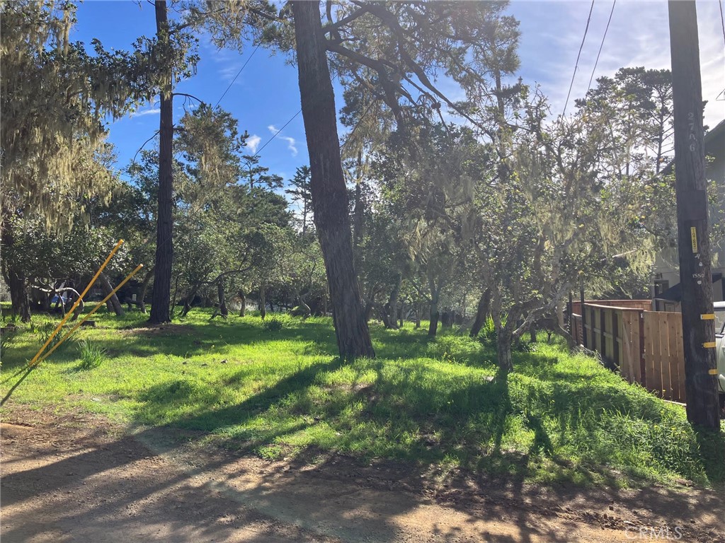 0 Cowper Street Property Photo 2