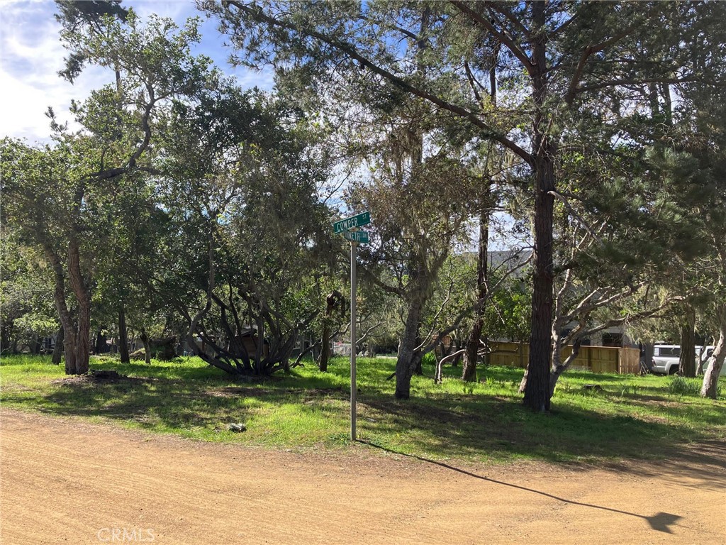 0 Cowper Street Property Photo 4