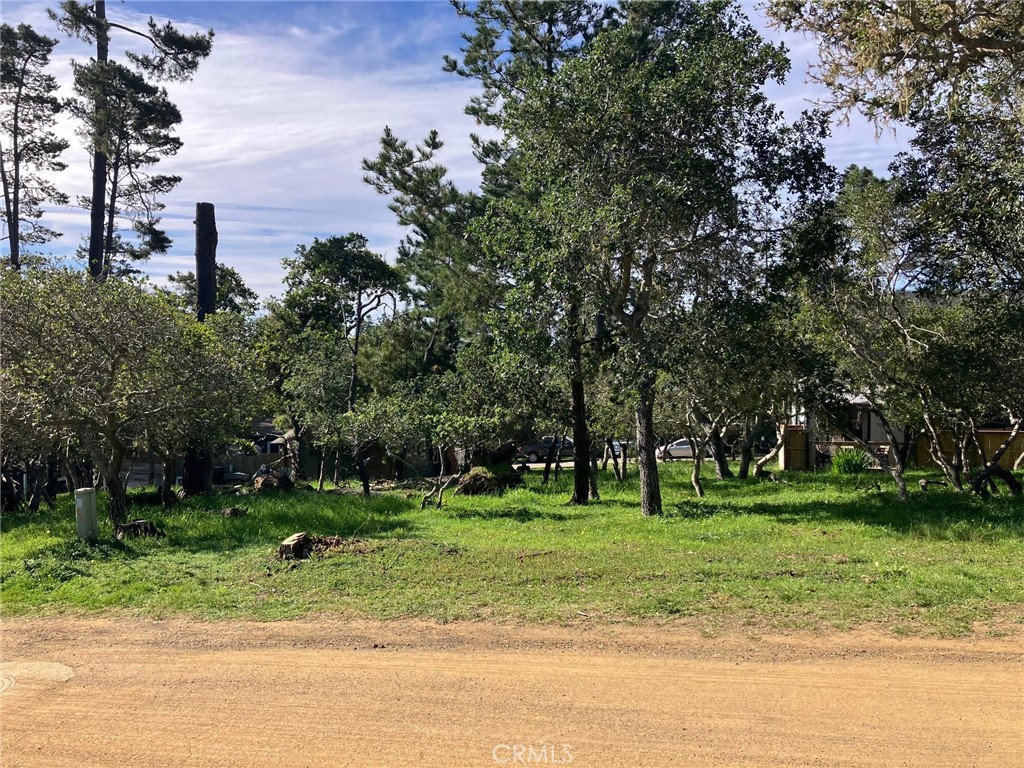 0 Cowper Street Property Photo 7
