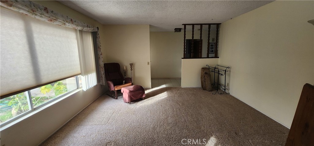12491 Toby Lane Property Photo 6