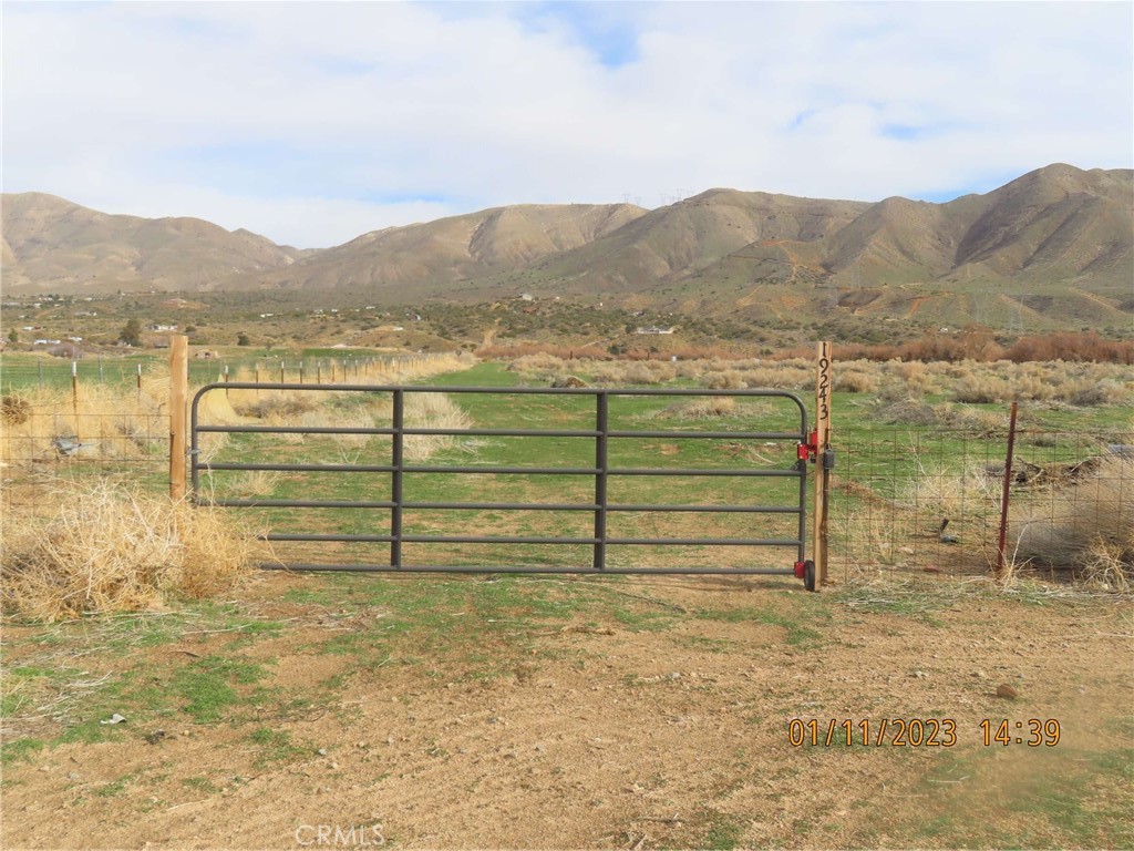19243 Whitehaven Property Photo 4