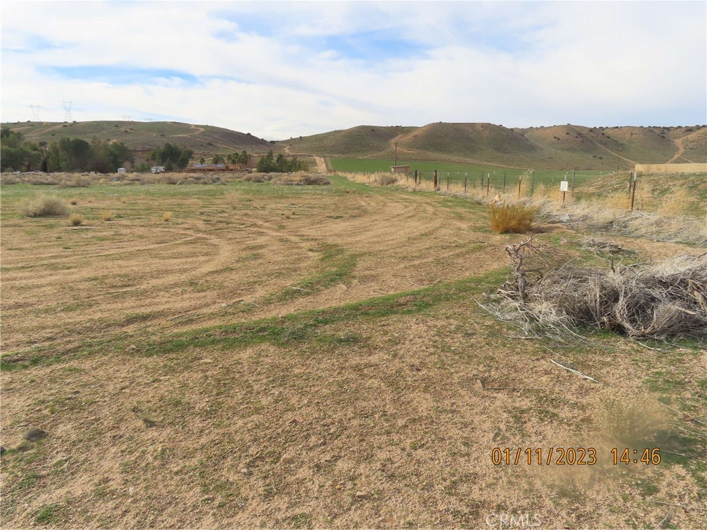 19243 Whitehaven Property Photo 5