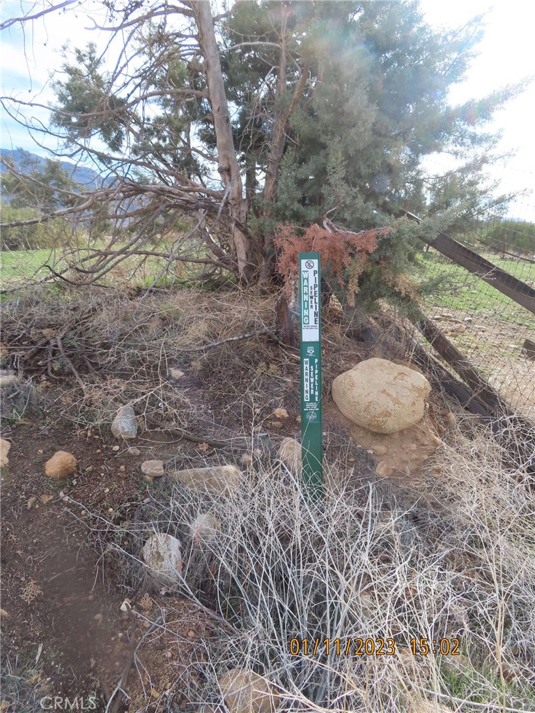 19243 Whitehaven Property Photo 19