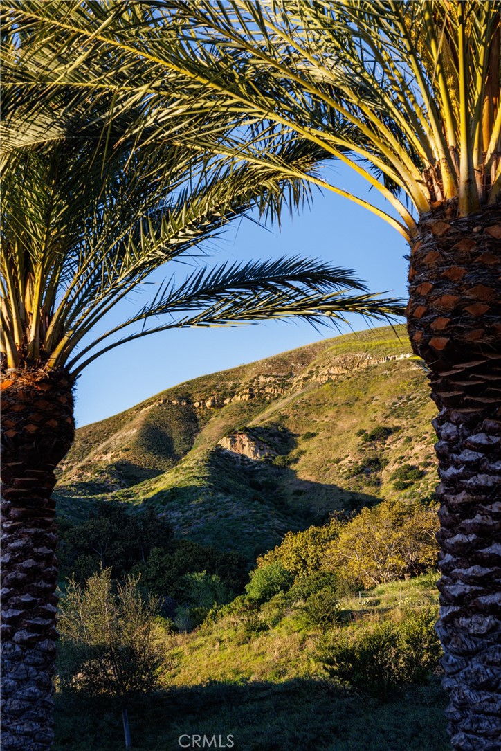 170 Leafy Pass Property Photo 35