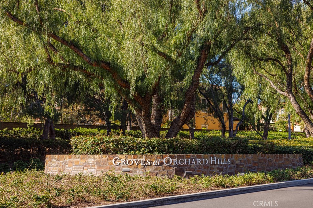 170 Leafy Pass Property Photo 62