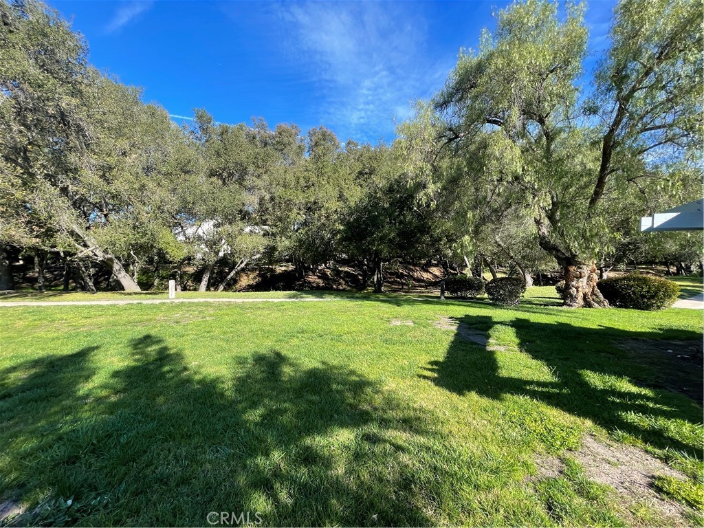 31601 Via Conejo Property Photo 27