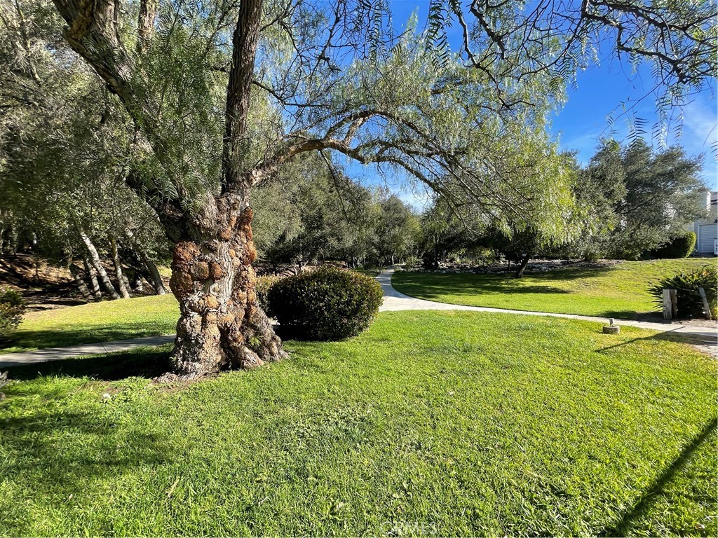 31601 Via Conejo Property Photo 28