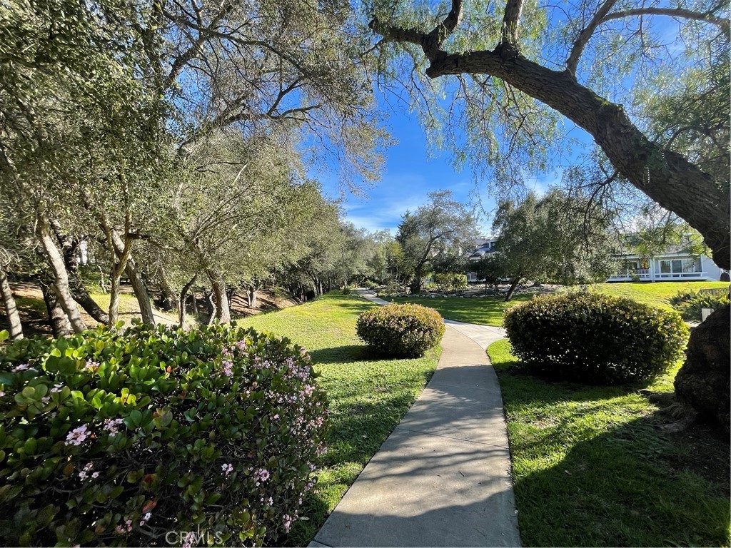 31601 Via Conejo Property Photo 29