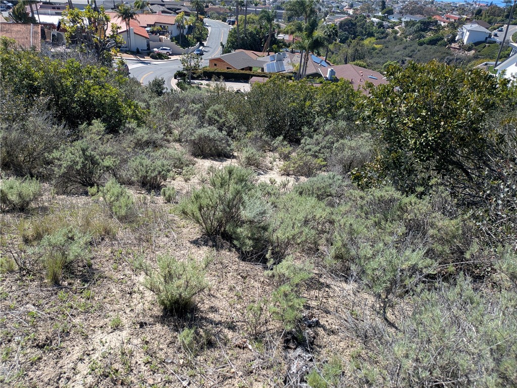 504 E Avenida San Juan Property Photo 5
