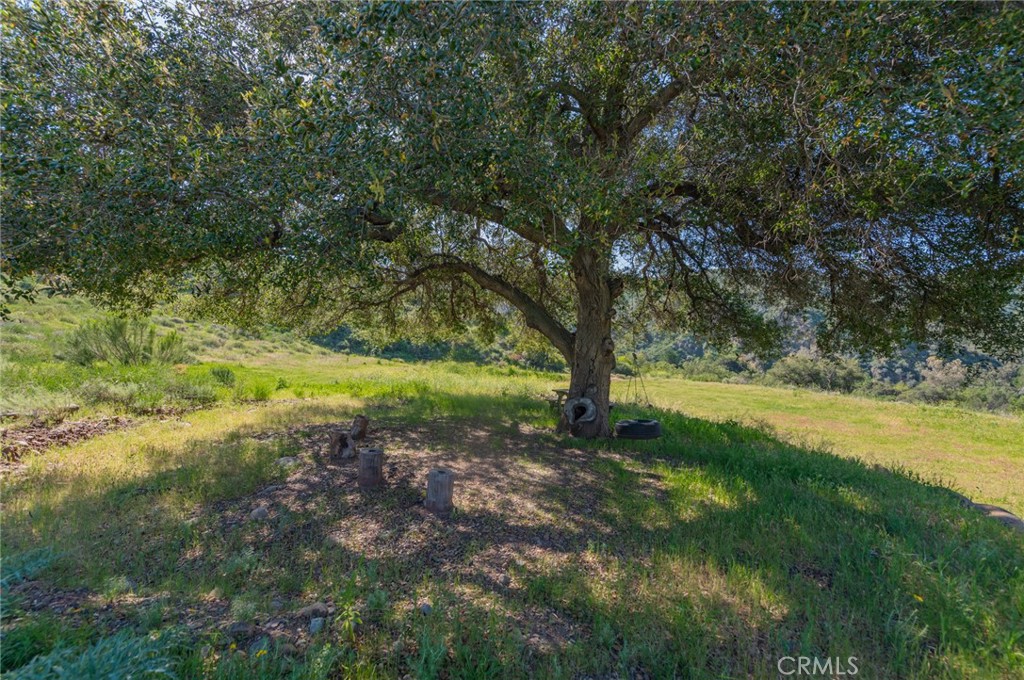 28741 Williams Canyon Rd. Property Photo 23