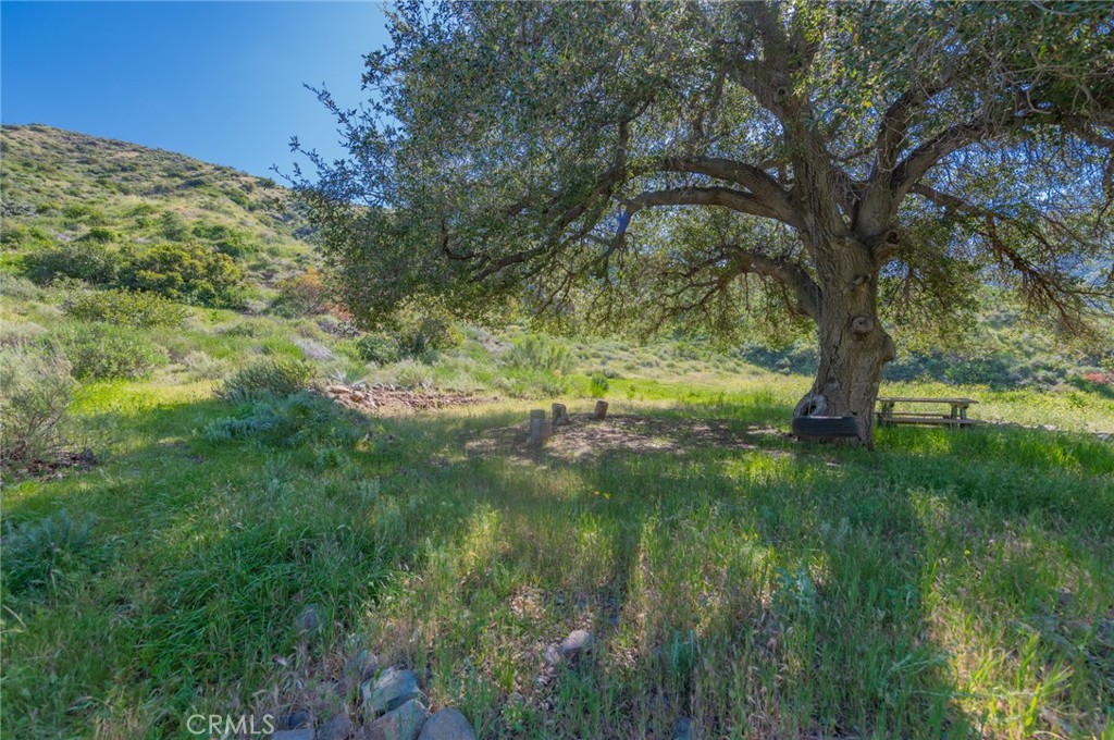 28741 Williams Canyon Rd. Property Photo 24
