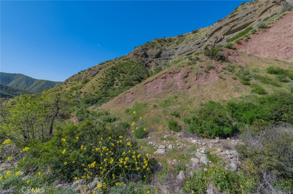 28741 Williams Canyon Rd. Property Photo 25